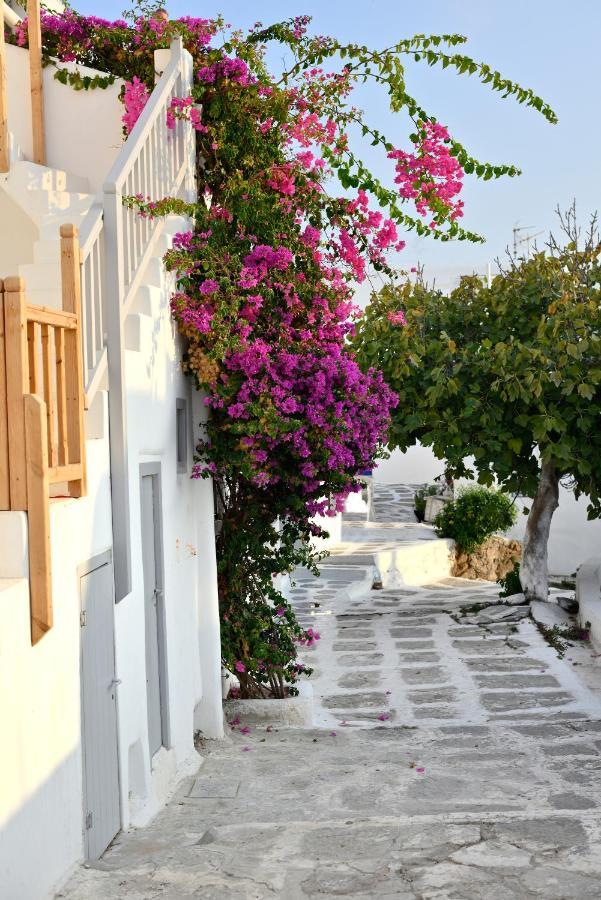 Marietta'S Apartment Mykonos Town Екстериор снимка